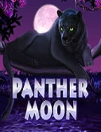 วิธีเล่นและคว้าชัยในสล็อต m98 อย่างผู้เชี่ยวชาญ